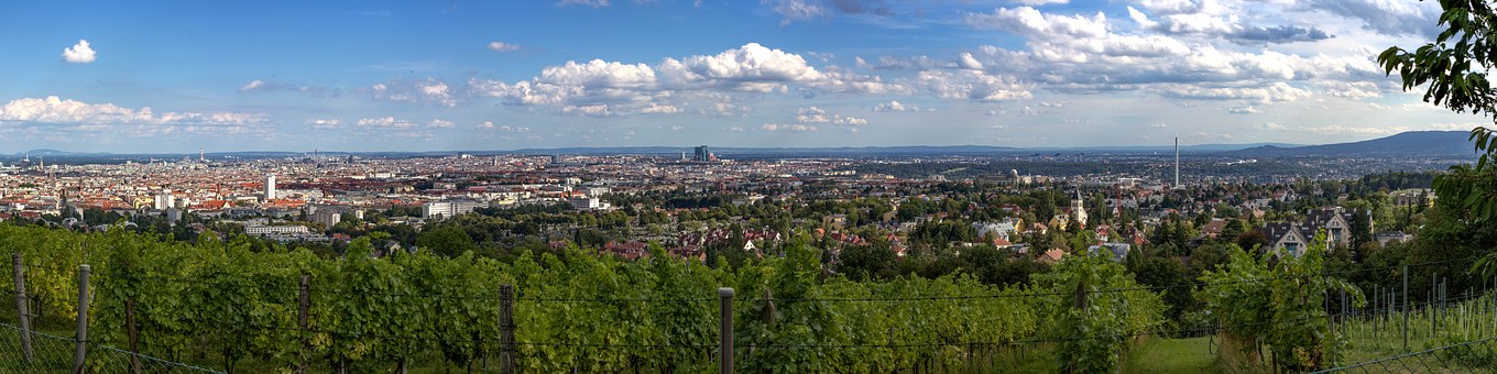 Panorama von Wien